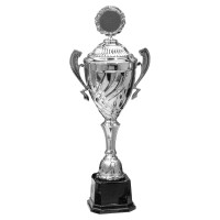 Pokal Alanis, silber, mit Logo oder Sportmotiv