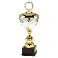 Pokal Manuel, gold/silber, mit Logo oder Sportmotiv
