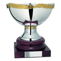 Edelpokal William,  silber/gold, 46 cm