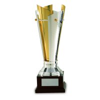 Edelpokal Dillen, silber/gold, 47 cm