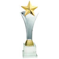 Edelpokal Starnight, silber, 44 cm
