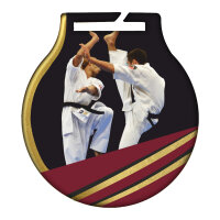 Medaille inkl. färbigem Druck "Karate", DM...