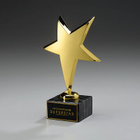 Hollywood-Award Rising Star, 2 Größen