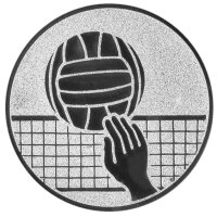 Volleyball, DM 50 mm, Standardemblem, silber